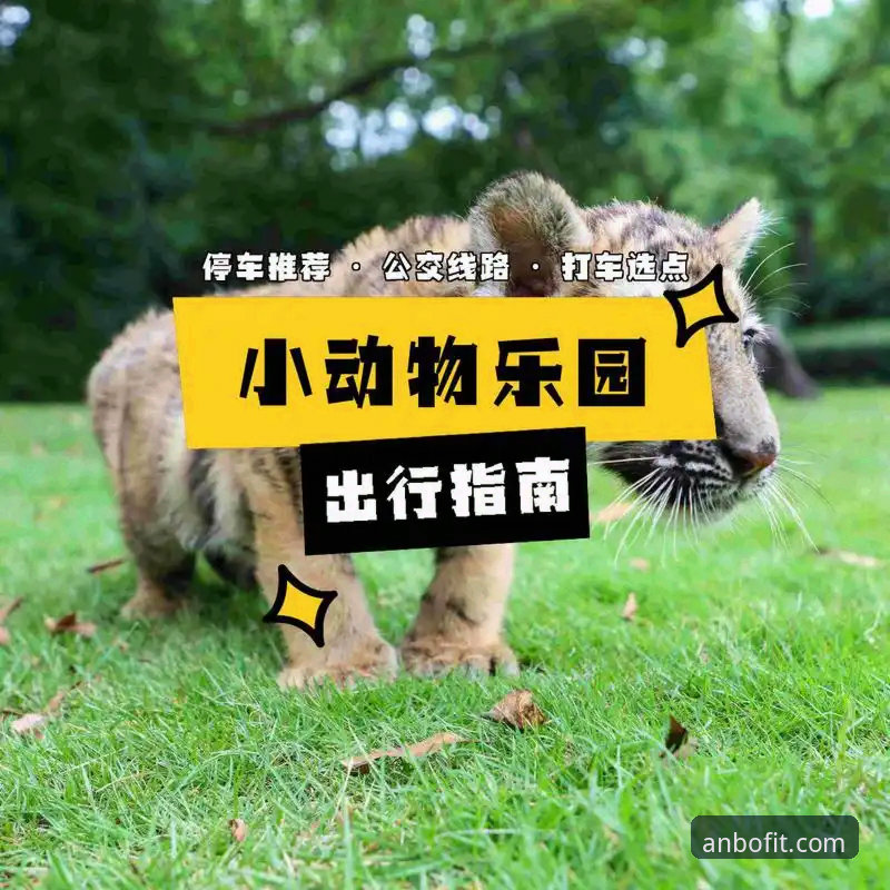 安博体育互动乐园使用详解：从下载到沉浸体验的全流程指南